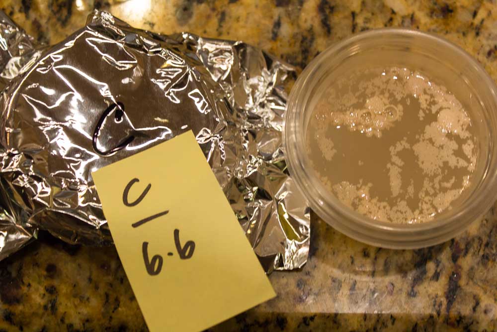 Pitching Rate Theology Accidentalis Brewing