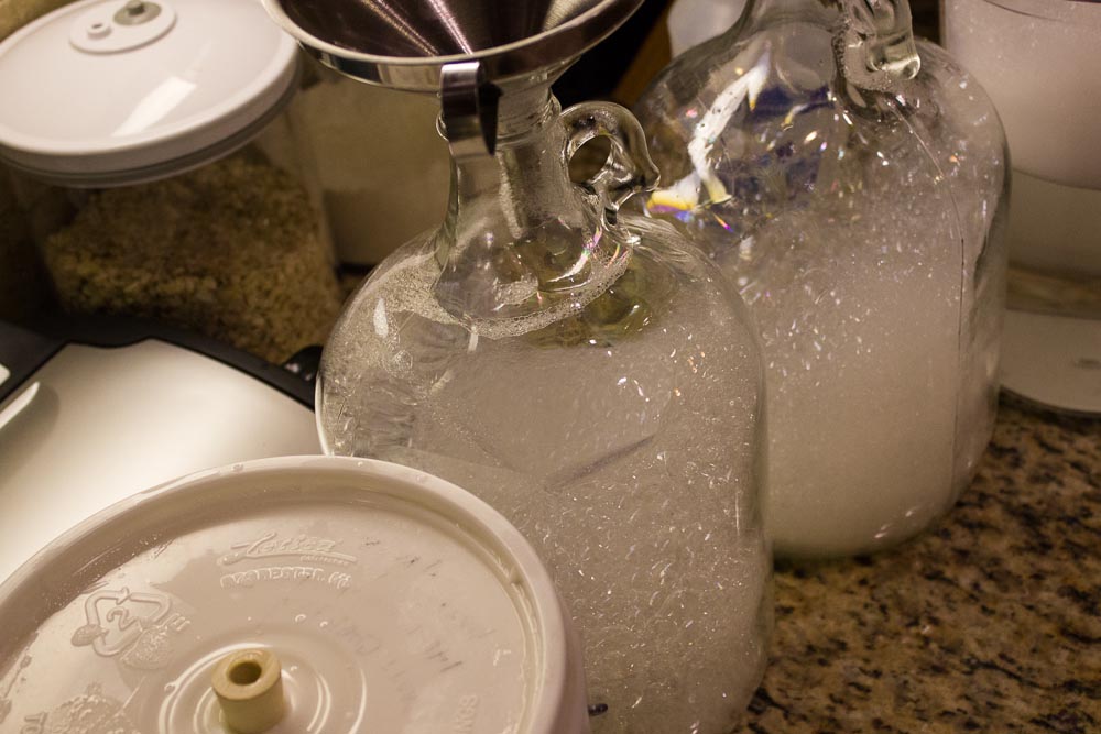 Yeast Pitching Rates, an experiment Accidentalis Brewing